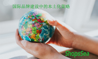 国际品牌建设中的本土化策略与全球化机遇