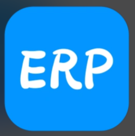 erp跨境电商系统：打造数字化管理新模式